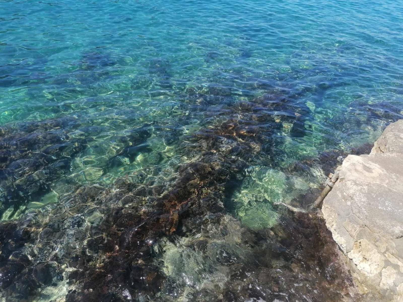 Apartmani Lux Sea Utjeha Εξωτερικό φωτογραφία